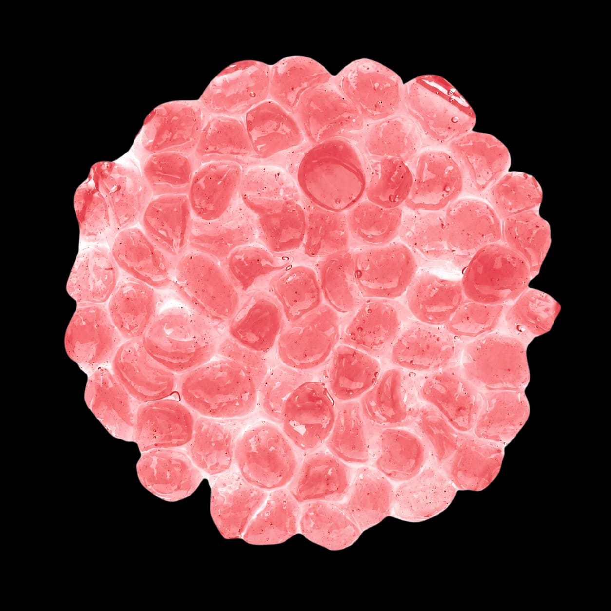 Perlas Boba Crystal Cereza Japonesa (Cherry Blossom) 2 KG. BOSSEN - Imagen 3