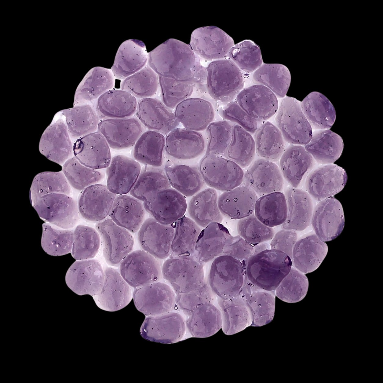 Perlas Boba Crystal Taro 2 KG. BOSSEN - Imagen 3