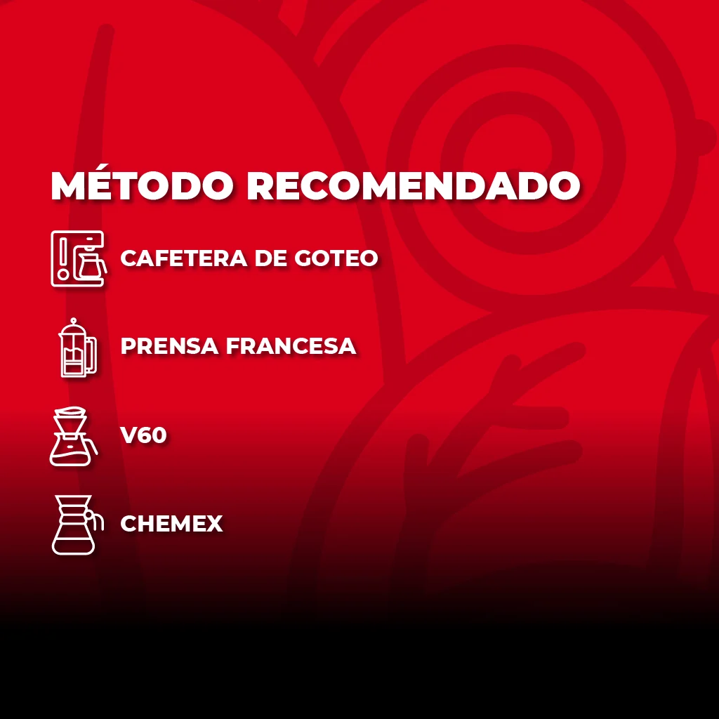 Cafe Vivendi 340 grm Grano Cafiver - Imagen 3